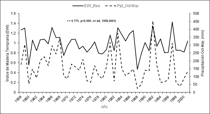 Relaci&oacute;n entre la cronolog&iacute;a de madera temprana, versi&oacute;n residual y datos acumulados promedio de precipitaci&oacute;n octubre-mayo de las estaciones clim&aacute;ticas Presa Hurtado y Antonio Escobedo