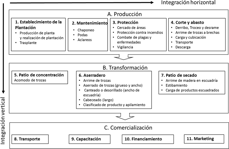 Modelo del proceso de integración de CPF en la RBMM.