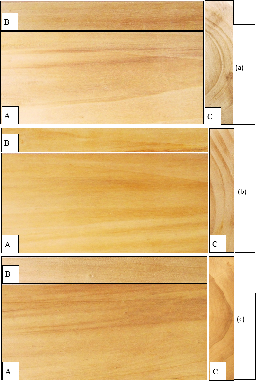 Muestras de madera de las tres especies (18 cm &times; 10 cm &times; 2 cm); (a) P. x canadensis conti 12; (b) P. alba var bolleana; (c) P. nigra cv thaisiana. A: secci&oacute;n tangencial; B: secci&oacute;n radial y C: secci&oacute;n transversal.