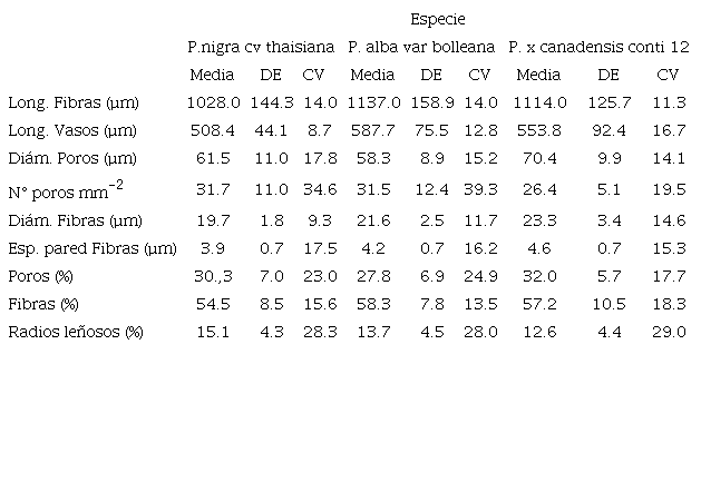Valores medios, desviaci&oacute;n est&aacute;ndar y coeficiente de variaci&oacute;n de caracter&iacute;sticas anat&oacute;micas analizadas (n = 375).