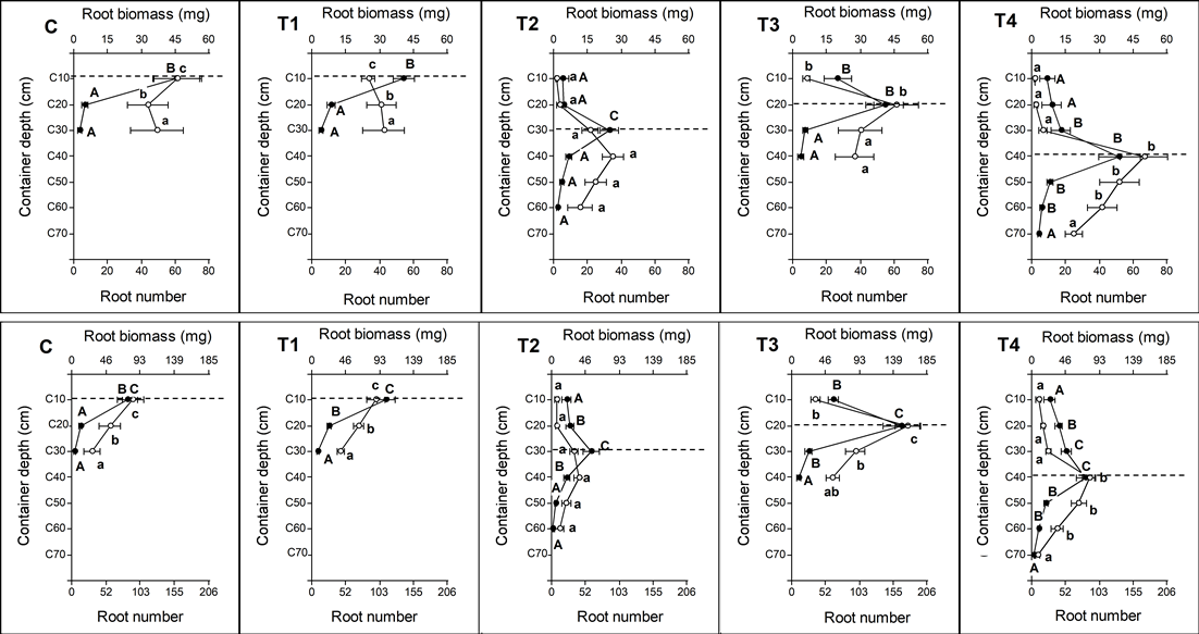 Distribution of new root biomass (white circles and lowercase letters) and new root number (filled circles and capital letters) as result of the RGP test. Upper graphs: Acacia caven; Lower graphs. Baccharis linearis (codes according to Table 1).