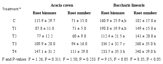 Total dry root biomass (mg) and new roots after the root growth potential tests (RGP). Mean ± standard error values are presented; different letters indicate significant differences among treatments.