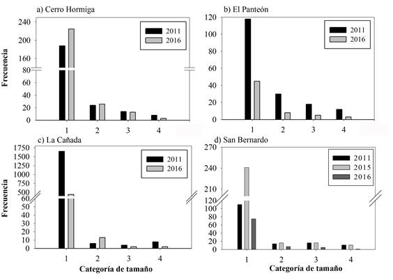 Número de individuos por categoría de tamaño de las poblaciones estudiadas en Santiago Comaltepec, durante 2011, 2015 y 2016.