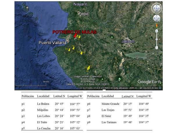 Localización de las nueve poblaciones conocidas de Pinus jaliscana.