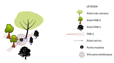 Diseño de parcela de muestreo.