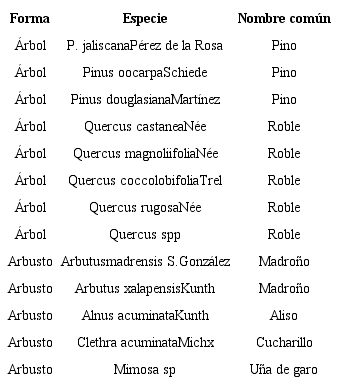 Composición del bosque mixto en Potrero de Mulas, Jalisco, México.