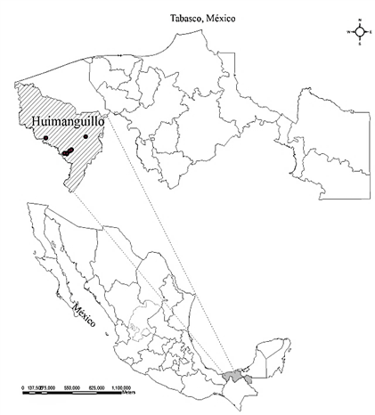 Localizaci&oacute;n de las plantaciones inventariadas de hule en Tabasco, M&eacute;xico.