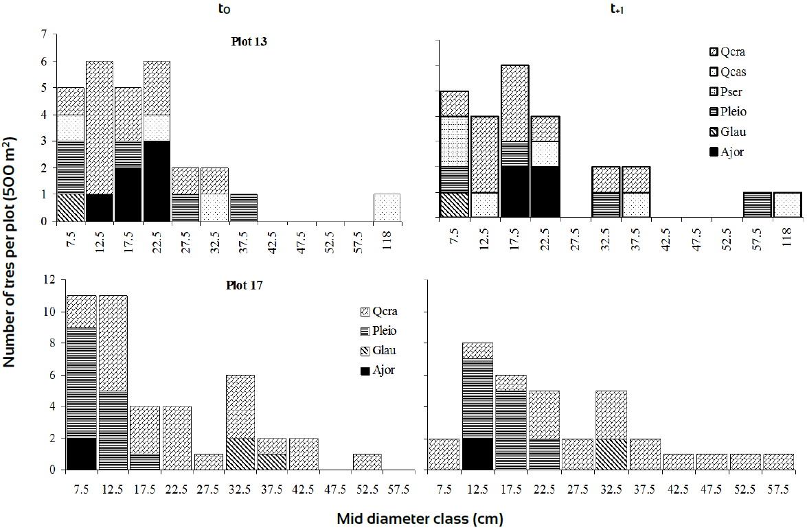 Diameter class distributions of plots with different rates of change based on Ip dynamics in xeric zone.