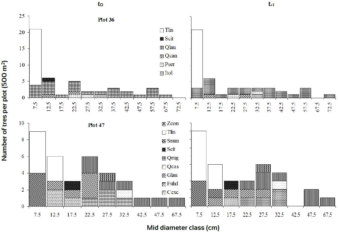 Diameter class distributions of plots with different rates of change based on Ip dynamics in mesic zones.
