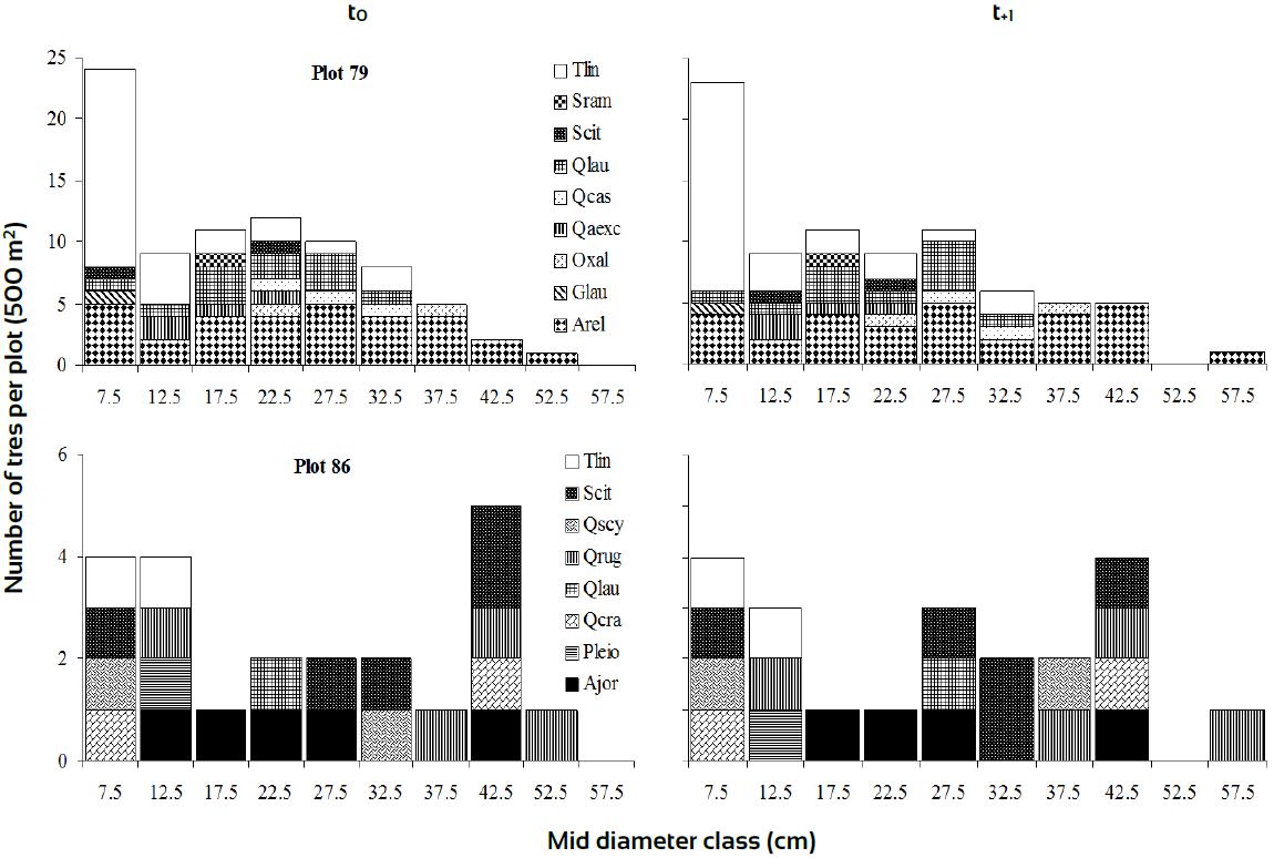 Diameter class distributions of plots with different rates of change based on Ip dynamics in transitional floristic zone.