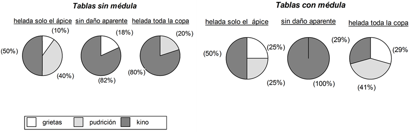 Defectos para cada clase de daño por heladas, según escala visual aplicada a los árboles de los que provienen las tablas, para las tablas sin médula y con médula.