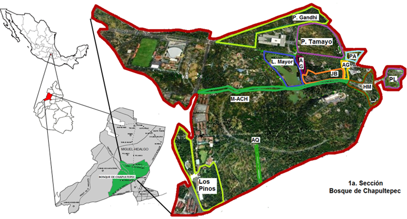 Zonificaci&oacute;n de la superficie muestreada en el &aacute;rea de estudio.