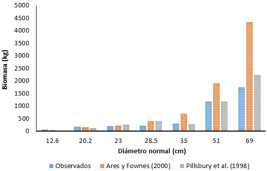 La estimaci&oacute;n de biomasa de F. uhdei a trav&eacute;s de ecuaciones generadas en un bosque natural (Ares y Fownes, 2000) y en uno urbano (Pillsbury et al. 1998), con los valores observados en &aacute;rboles del &aacute;rea de estudio (n = 7).