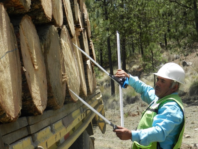 Adopci&oacute;n del uso de la forc&iacute;pula electr&oacute;nica Hagl&ouml;f en la documentaci&oacute;n de madera.