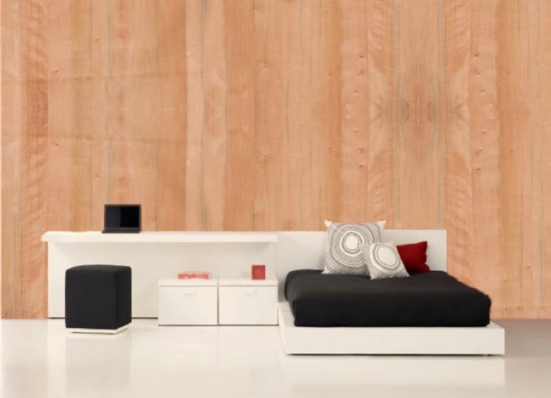 Fotomontaje raulí (N. alpina).