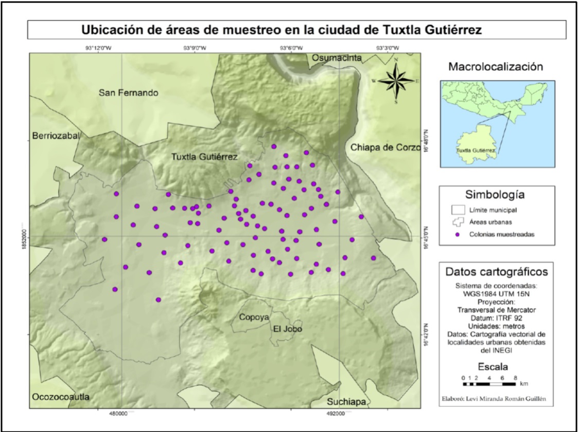 &Aacute;rea de estudio.