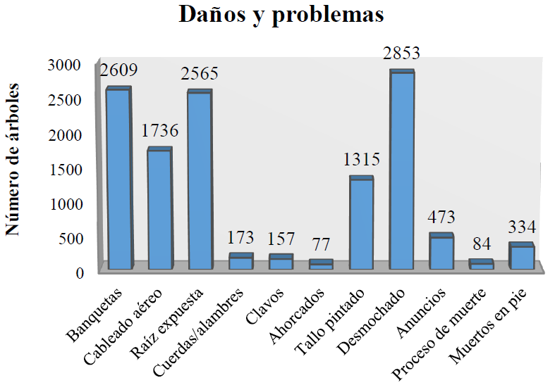 Da&ntilde;os y problemas asociados