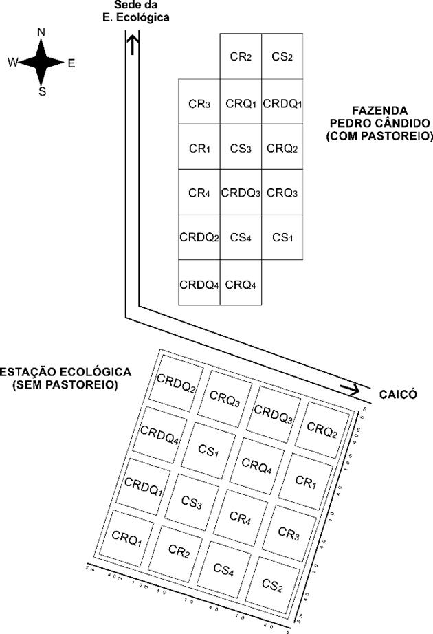 Disposici&oacute;n de las parcelas del experimento en la estaci&oacute;n
								ecol&oacute;gica del Serid&oacute; y Hacienda Pedro C&acirc;ndido, Serra Negra do
								Norte-RN.