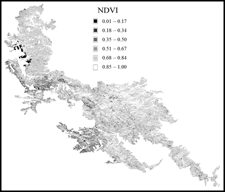 Distribuci&oacute;n espacial de los valores del &iacute;ndice de vegetaci&oacute;n de
							diferencia normalizada.