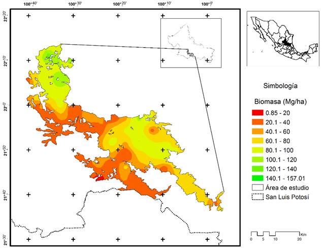 Mapa de superficies continuas, basado en la interpolaci&oacute;n de biomasa
							con un modelo exponencial de cokriging.