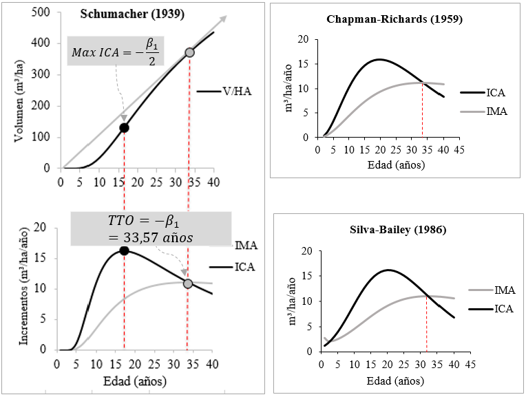 Turnos técnicamente óptimos (TTOs) para Pinus
caribaea Morelet var. caribaea