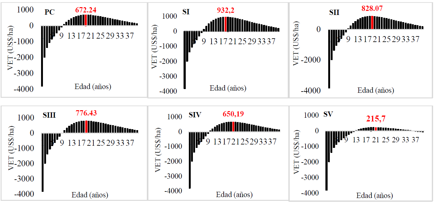 Edades de Rotación Económica (EREs) por índice de sitio para
P. caribaea var. Caribaea.