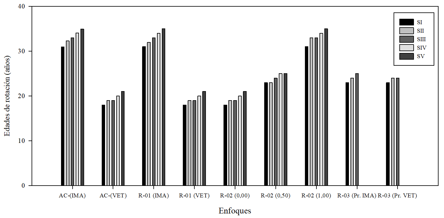 Variación de la edad de rotación del P. caribaea
var. caribaea en función del índice del sitio y del
enfoque empleado.