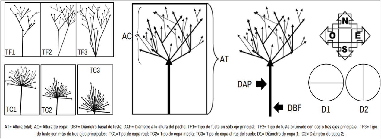 Esquemas de variables y atributos evaluados en la vegetaci&oacute;n
								arborea del bosque tropical caducifolio en el municipio de
								Quer&eacute;taro, Qro.