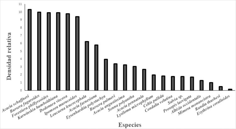 Comparaci&oacute;n de la densidad relativa de arbustos y &aacute;rboles nativos
								encontrados en el municipio de Quer&eacute;taro, Qro.