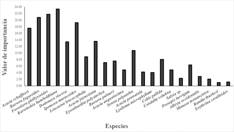 Comparaci&oacute;n del valor de importancia de arbustos y &aacute;rboles del
								bosque tropical caducifolio en el municipio de Quer&eacute;taro,
								Qro.