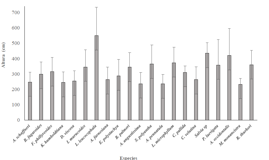 Altura promedio del total de individuos evaluados en el BTC del
								Municipio de Quer&eacute;taro, Qro.