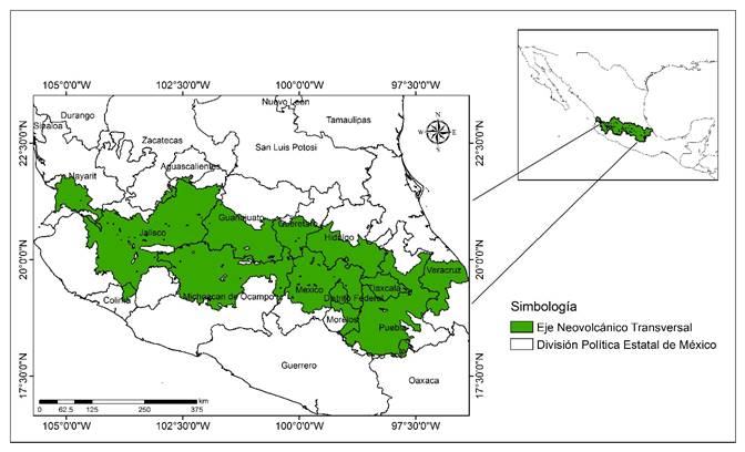 &Aacute;rea de estudio