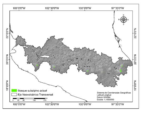 Distribuci&oacute;n actual del bosque subalpino de Pinus hartwegii Lindl en el Eje Neovolc&aacute;nico Transversal