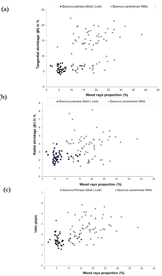 Relationships between wood basic density (Db) and (a) wood
								tangential shrinkage [βt], (b) radial shrinkage [βr] and (c) the
								TARS, Q. canariensis and Q.
									petraea woods.