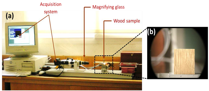 (a) Image analysis system (Microvideomat de Zeiss) for
								characterizing multiseriate wood rays, (b) LR face of wood specimen
								during the analysis.