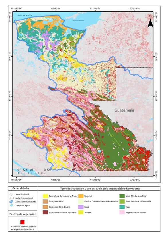 P&eacute;rdida de cobertura arb&oacute;rea (2000-2016; Hansen et al., 2013) de los principales tipos de vegetaci&oacute;n y usos de suelo (Inegi, 2001; Serie II) en la cuenca del r&iacute;o Usumacinta. Sistema de coordenadas geogr&aacute;ficas WGS84.