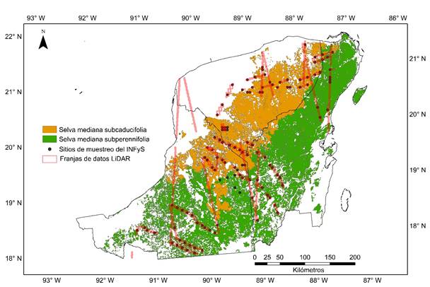 Distribuci&oacute;n de las unidades de muestreo del Inventario Nacional y de Suelos (INFyS) de M&eacute;xico, utilizados en el estudio y de las franjas de datos LiDAR, sobre los dos tipos de vegetaci&oacute;n evaluados (Serie V, Inegi, 2013).