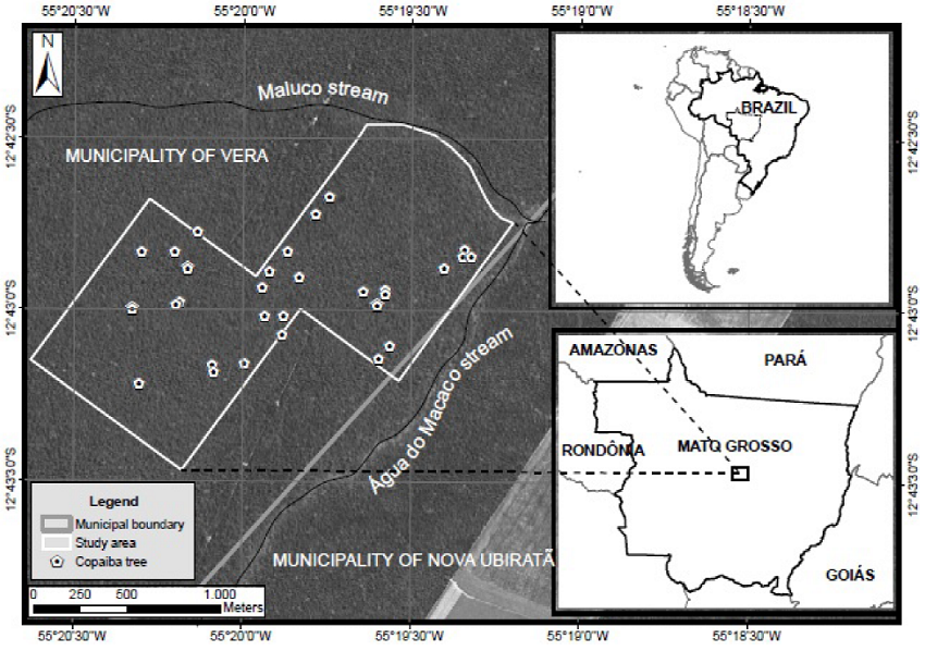 Location of the study area in a primary forest in the
								central-north region of the State of Mato Grosso, Brazil.