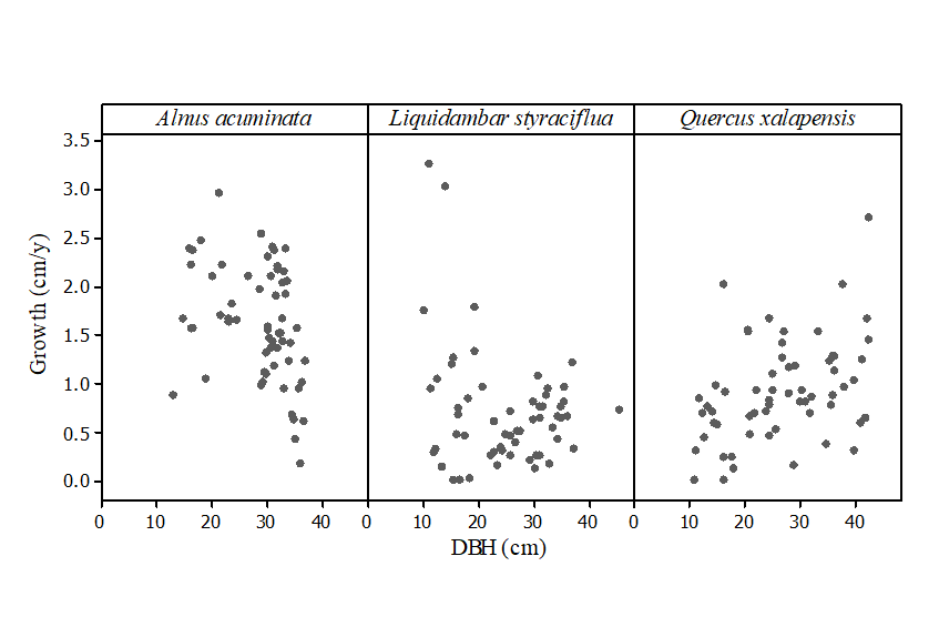 Diameter growth rate (cm yr-1) and tree diameter at breast
							height (DBH; cm) in tropical montane cloud forest tree species (N = 60).
							Diameter growth decreased with DBH in Liquidambar
								(P = 0.014; see table 2 for the full
							model).