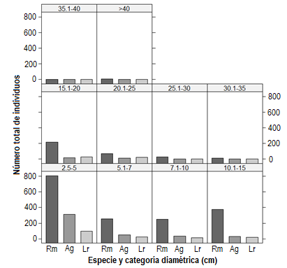 Distribución de árboles por categoría diamétrica de las especies Rhizophora mangle (Rm) Avicennia germinans (Ag) y Laguncularia racemosa (Lr) en el SMIC-La Encrucijada.