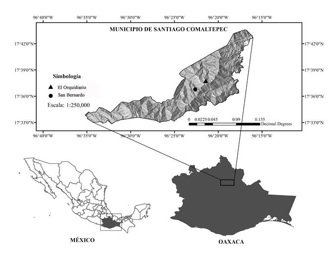 Ubicaci&oacute;n de las localidades de estudio en el municipio de Santiago Comaltepec, Oaxaca, M&eacute;xico.