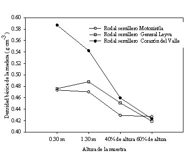 Densidad b&aacute;sica promedio de la madera por altura de muestreo en el fuste. 