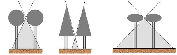 Influencia de la forma de la copa en el tama&ntilde;o del &aacute;rea de luz solar directa en el sotobosque.