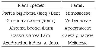 Plant species and families.