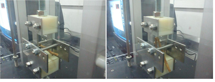 Montaje de la ra&iacute;z en el dispositivo para prueba de flexi&oacute;n.
							