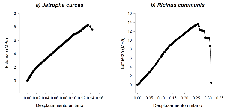 Gr&aacute;ficas esfuerzo-deformaci&oacute;n unitaria t&iacute;picas de ra&iacute;ces de a) Jatropha curcas y b) Ricinus communis bajo tensi&oacute;n.