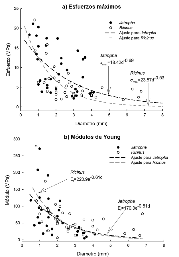 Esfuerzos de tensi&oacute;n m&aacute;ximos (σ max) y m&oacute;dulos de Young (Et ) registrados en ra&iacute;ces de Jatropha curcas y Ricinus communis y sus curvas de ajuste. La letra d de las ecuaciones representa al di&aacute;metro de la ra&iacute;z.