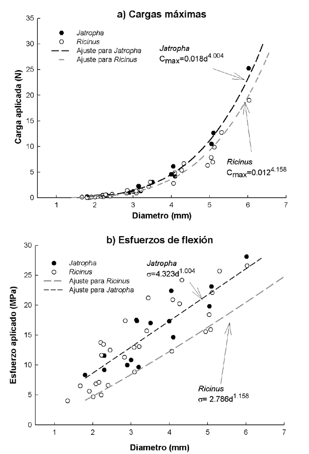 Cargas m&aacute;ximas y esfuerzos de flexi&oacute;n obtenidos en ra&iacute;ces de Jatropha curcas y Ricinus communis y sus curvas ajustadas.