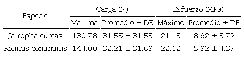Cargas y esfuerzos de ruptura en tensi&oacute;n m&aacute;ximo y promedio
								obtenidos en ra&iacute;ces de Ricinus communis y
									Jatropha curcas.