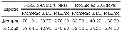 M&oacute;dulo de elasticidad m&aacute;ximo y promedio &plusmn; DE obtenido con ra&iacute;ces
								de Jatropha curcas y Ricinus
									communis en 2.5% y 50% de su m&aacute;ximo desplazamiento.
							